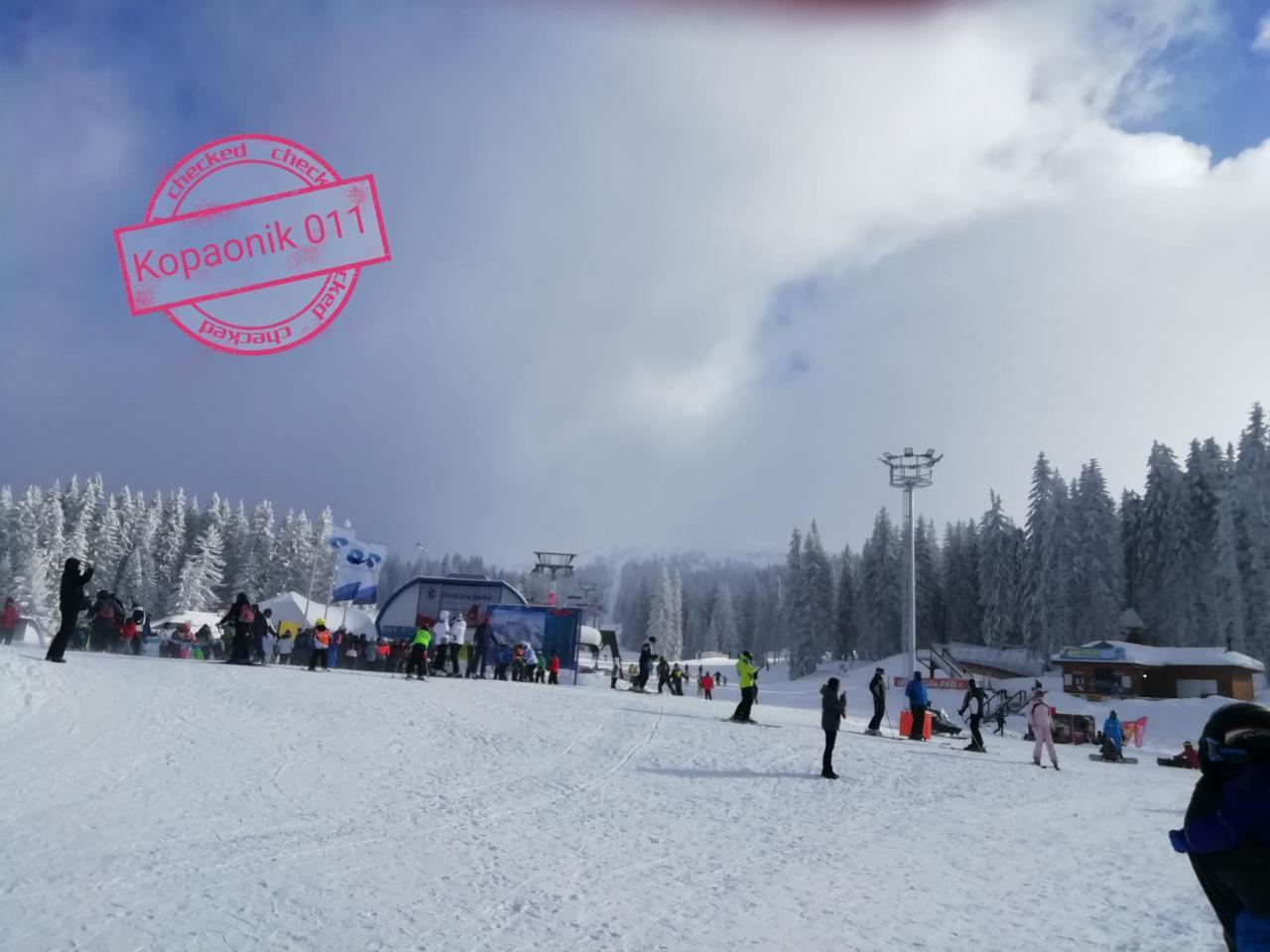 Kopaonik011 Konaci&Woodside Apartments 外观 照片